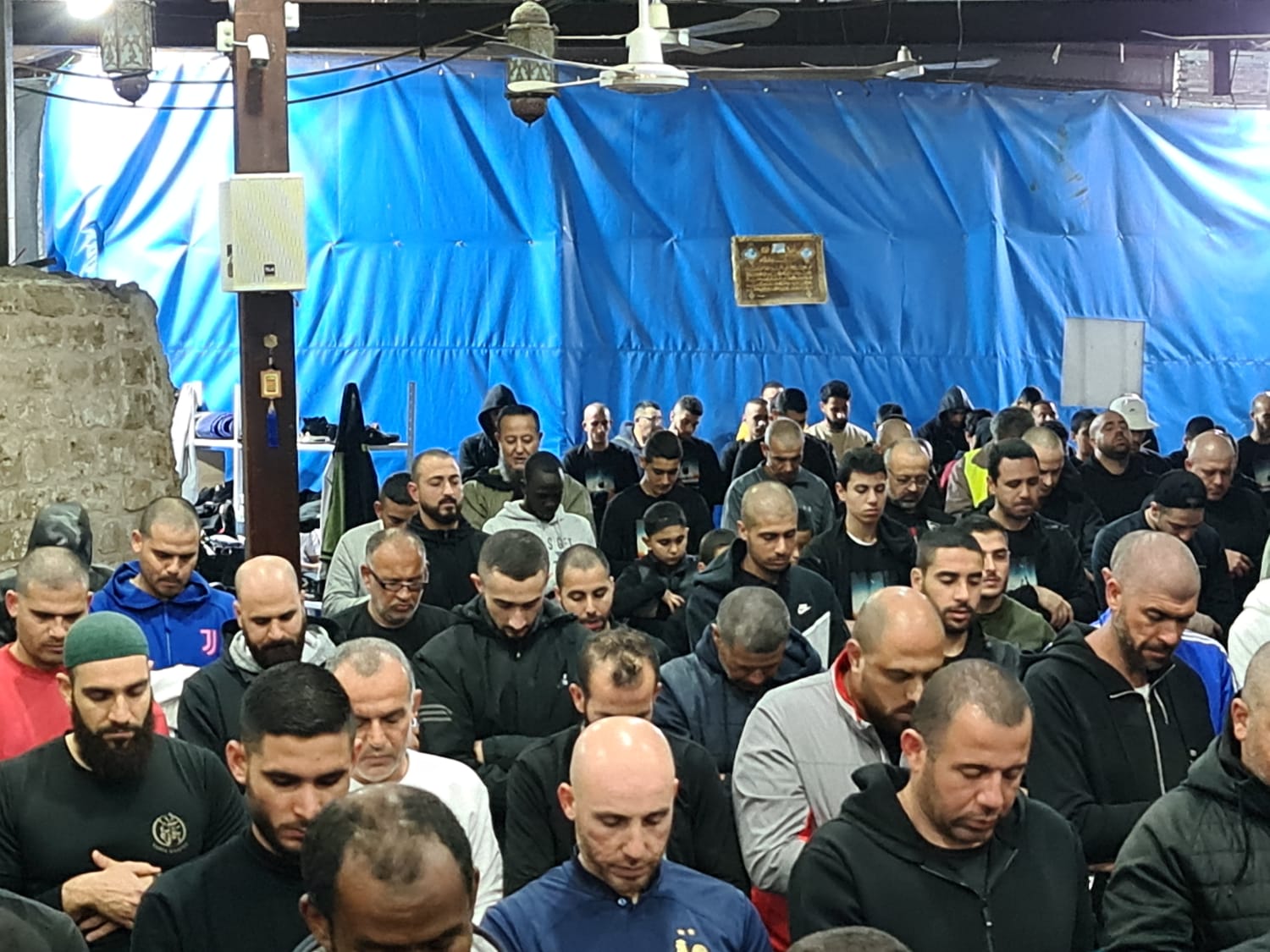 WhatsApp Image 2023-03-23 at 8.02.22 PM.jpeg